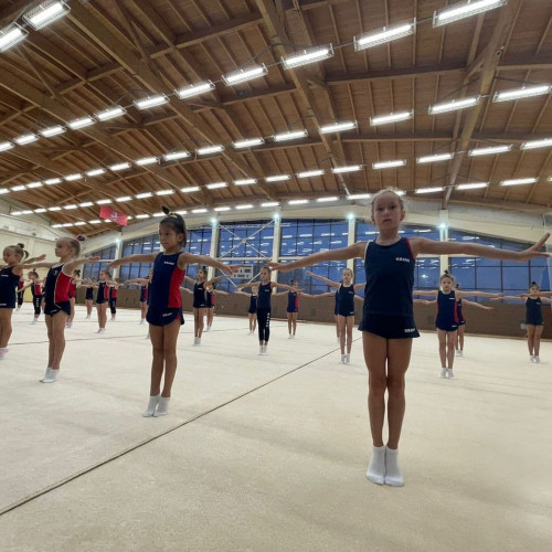 Ковер гимнастический (для домашних занятий) 12x12м